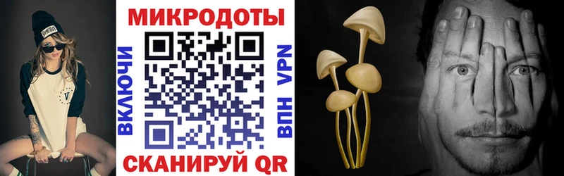 Галлюциногенные грибы GOLDEN TEACHER Билибино