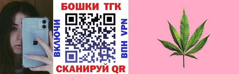 Бошки Шишки план Билибино